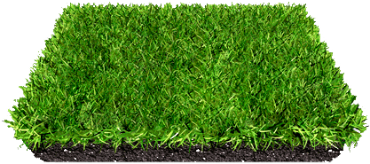 Газон на вашем участке «под ключ» в Бишкеке и области